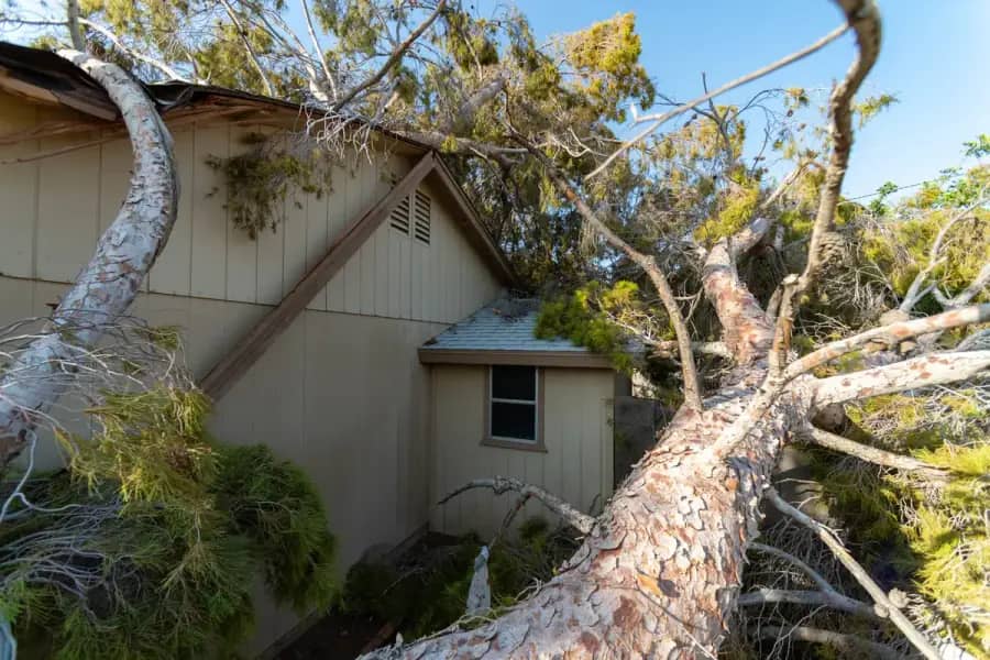 Emergency Tree Service by Atlanta TreeWorks in Metro Atlanta
